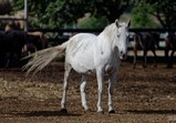 Září 2018 - Szczedrzykowice