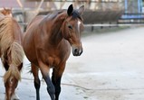 Září 2018 - Szczedrzykowice