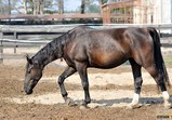 Září 2018 - Szczedrzykowice