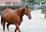 Září 2018 - Szczedrzykowice