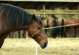 Září 2018 - Szczedrzykowice