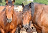 Září 2018 - Szczedrzykowice