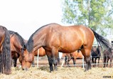 Září 2018 - Szczedrzykowice