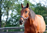 Září 2018 - Szczedrzykowice