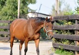 Září 2018 - Szczedrzykowice