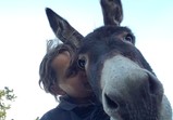 Koně v adoptivních domovech - září