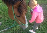 Koně v adoptivních domovech - září