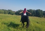 Koně v adoptivních domovech - září