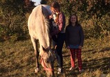 Koně v adoptivních domovech - září