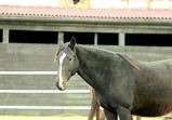 Říjen 2018 - Szczedrzykowice
