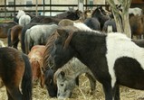 Říjen 2018 - Szczedrzykowice