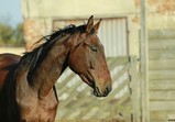 Říjen 2018 - Szczedrzykowice
