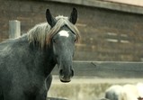 Říjen 2018 - Szczedrzykowice