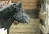 Říjen 2018 - Szczedrzykowice