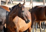Říjen 2018 - Szczedrzykowice