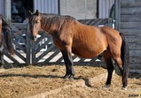 Říjen 2018 - Szczedrzykowice