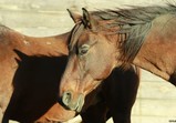 Říjen 2018 - Szczedrzykowice