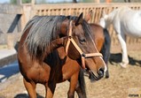 Říjen 2018 - Szczedrzykowice