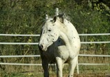 Říjen 2018 - Szczedrzykowice