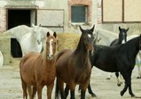 Říjen 2018 - Szczedrzykowice