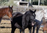 Říjen 2018 - Szczedrzykowice