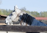 Říjen 2018 - Szczedrzykowice