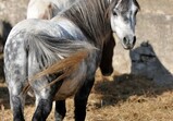 Říjen 2018 - Szczedrzykowice