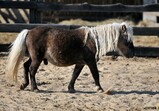 Říjen 2018 - Szczedrzykowice