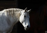 Říjen 2018 - Szczedrzykowice