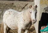 Říjen 2018 - Szczedrzykowice
