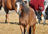 Říjen 2018 - Szczedrzykowice