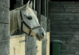 Říjen 2018 - Szczedrzykowice