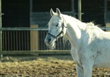 Říjen 2018 - Szczedrzykowice