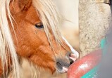 Říjen 2018 - Szczedrzykowice