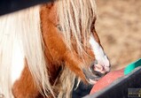Říjen 2018 - Szczedrzykowice