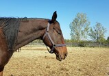 Říjen 2018 - Szczedrzykowice