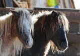 Říjen 2018 - Szczedrzykowice