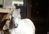 Říjen 2018 - Szczedrzykowice