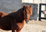 Říjen 2018 - Szczedrzykowice