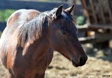 Říjen 2018 - Szczedrzykowice