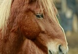 Říjen 2018 - Szczedrzykowice