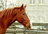 Listopad 2018 ve Szczedrzykowicích