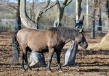 Listopad 2018 ve Szczedrzykowicích