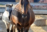 Listopad 2018 ve Szczedrzykowicích