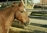 Listopad 2018 ve Szczedrzykowicích