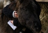 Listopad 2018 ve Szczedrzykowicích