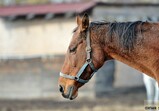 Listopad 2018 ve Szczedrzykowicích