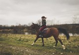 Listopad 2018 v adoptivních domovech