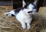 Prosinec 2018 na farmě 