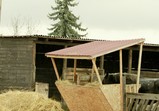 Prosinec 2018 na farmě 